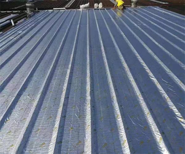 扬中市彩钢瓦防水